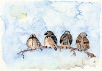 Four sparrows