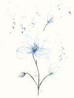 blaue_transp_blumen