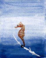 Sea horse and branch