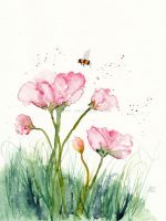 campo_flores_abeja