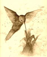 colibri_stark_kl_sepia