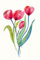 Tulpen